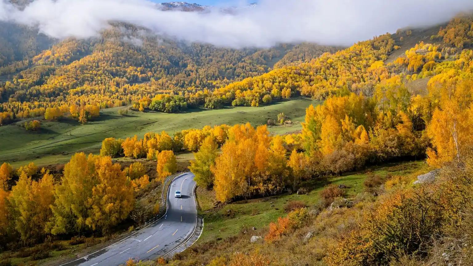 A single car on a winding road through autumn hills and open pasture
