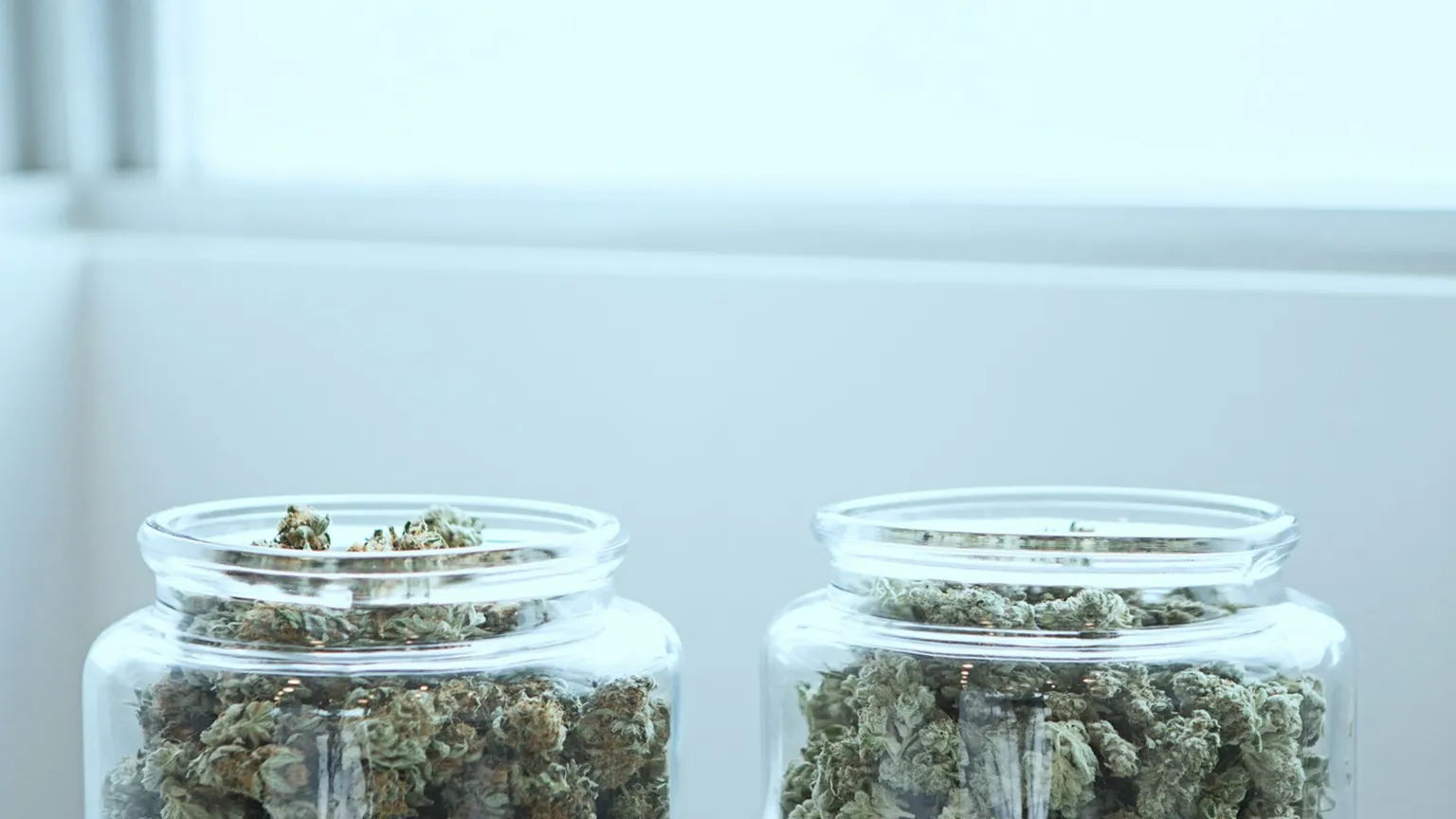 Two clear glass jars of labeled cannabis flower on a clean white counter