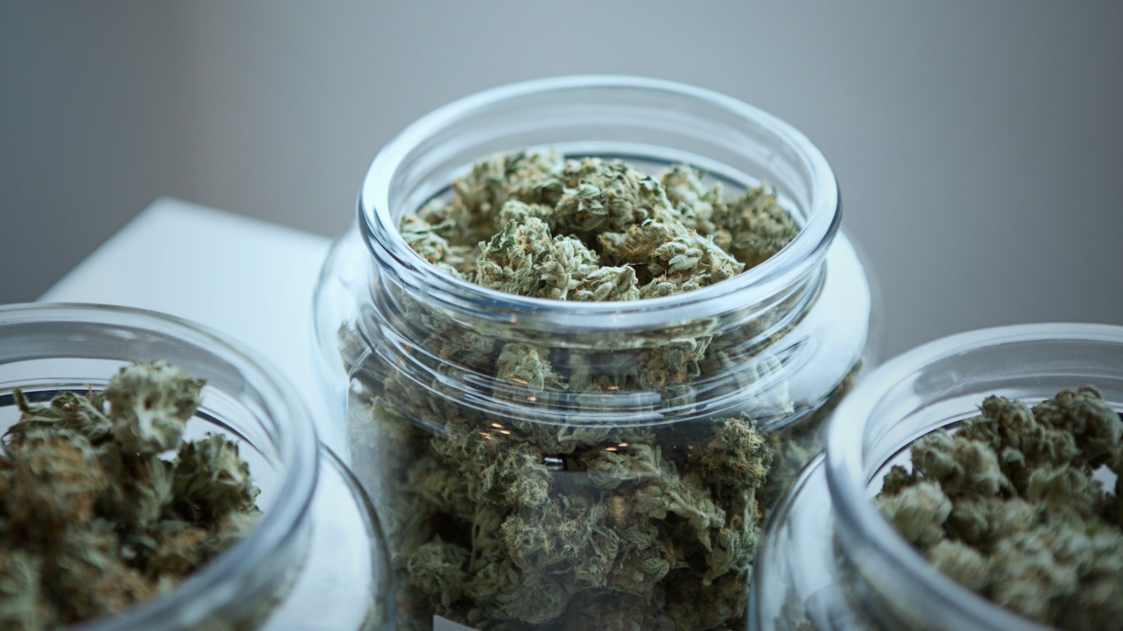 Open glass jars filled with cannabis flower arranged on a pale surface